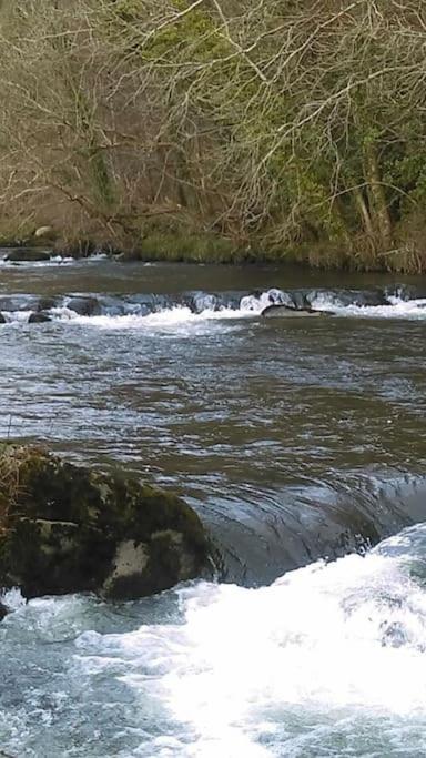 Stunning 3 Bed Riverside Cabin In Snowdonia Caeathro Eksteriør bilde