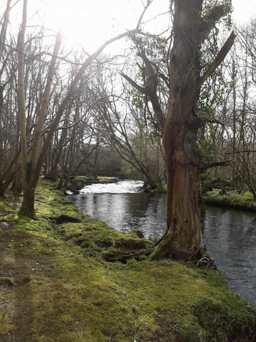 Stunning 3 Bed Riverside Cabin In Snowdonia Caeathro Eksteriør bilde