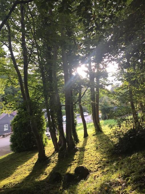 Stunning 3 Bed Riverside Cabin In Snowdonia Caeathro Eksteriør bilde